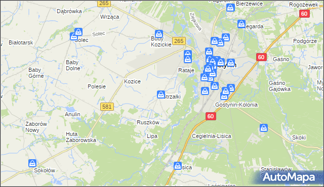 mapa Strzałki gmina Gostynin, Strzałki gmina Gostynin na mapie Targeo