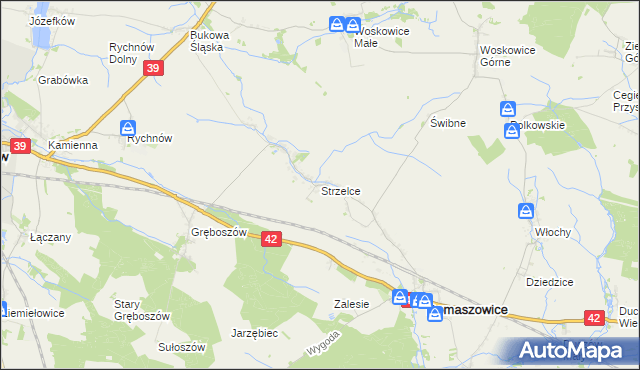 mapa Strzelce gmina Domaszowice, Strzelce gmina Domaszowice na mapie Targeo