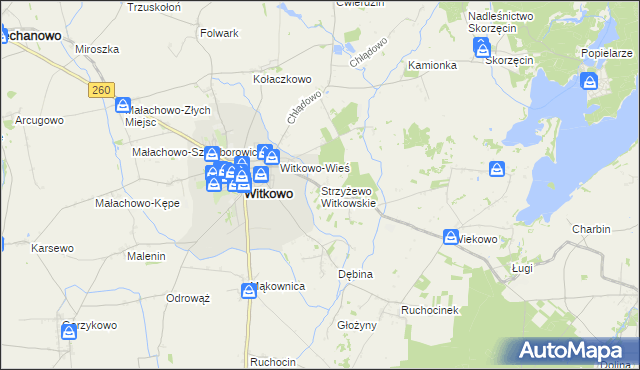 mapa Strzyżewo Witkowskie, Strzyżewo Witkowskie na mapie Targeo