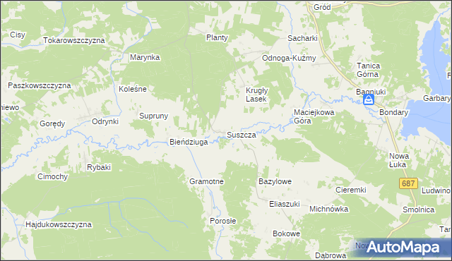 mapa Suszcza, Suszcza na mapie Targeo