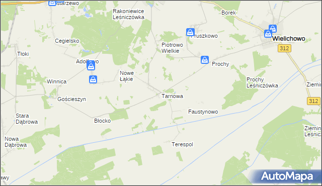 mapa Tarnowa gmina Rakoniewice, Tarnowa gmina Rakoniewice na mapie Targeo