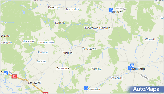 mapa Tchórzowa, Tchórzowa na mapie Targeo