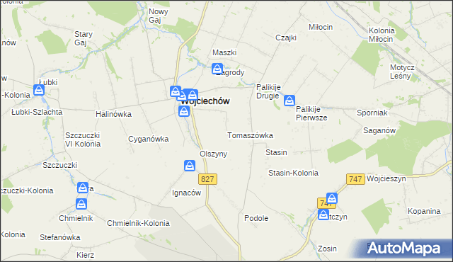 mapa Tomaszówka gmina Wojciechów, Tomaszówka gmina Wojciechów na mapie Targeo