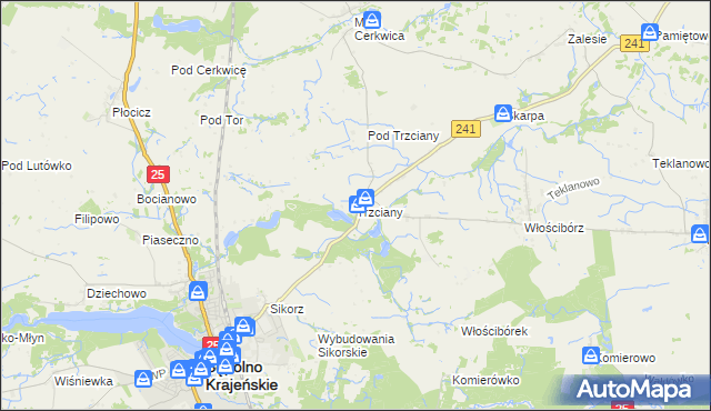 mapa Trzciany gmina Sępólno Krajeńskie, Trzciany gmina Sępólno Krajeńskie na mapie Targeo