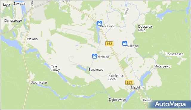 mapa Trzciniec gmina Czaplinek, Trzciniec gmina Czaplinek na mapie Targeo