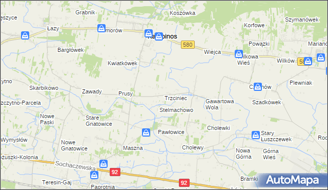 mapa Trzciniec gmina Leszno, Trzciniec gmina Leszno na mapie Targeo