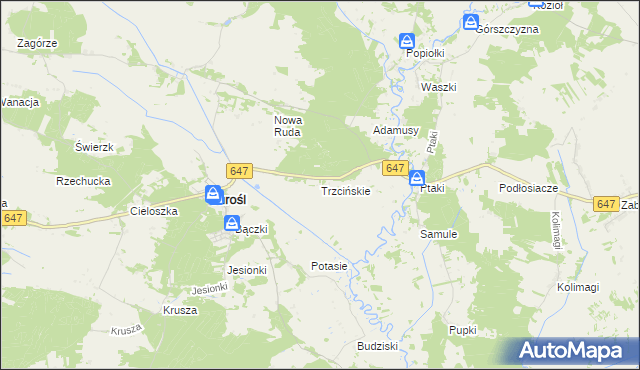 mapa Trzcińskie, Trzcińskie na mapie Targeo