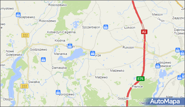 mapa Turze gmina Tczew, Turze gmina Tczew na mapie Targeo