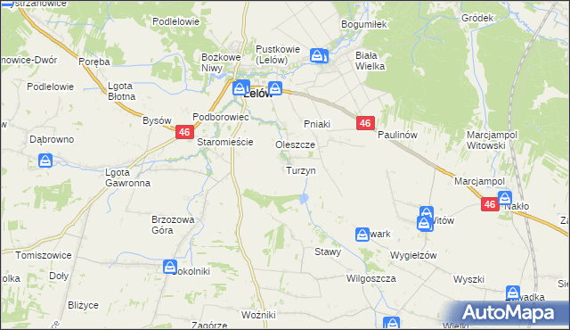 mapa Turzyn gmina Lelów, Turzyn gmina Lelów na mapie Targeo