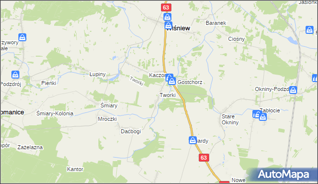 mapa Tworki gmina Wiśniew, Tworki gmina Wiśniew na mapie Targeo