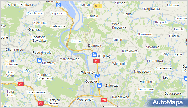 mapa Wielogłowy gmina Chełmiec, Wielogłowy gmina Chełmiec na mapie Targeo