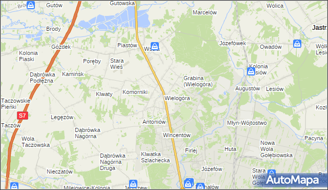 mapa Wielogóra gmina Jedlińsk, Wielogóra gmina Jedlińsk na mapie Targeo