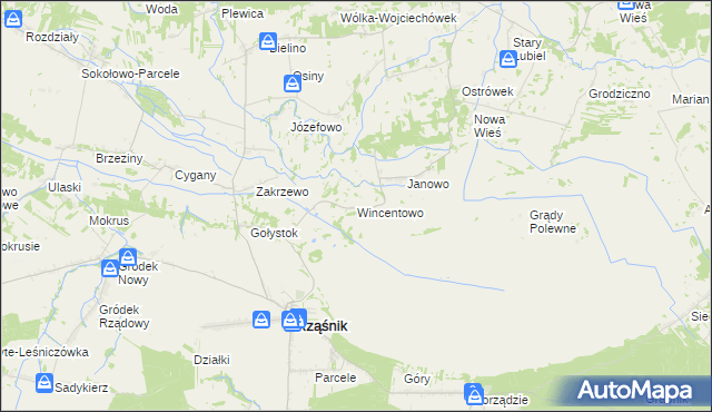 mapa Wincentowo gmina Rząśnik, Wincentowo gmina Rząśnik na mapie Targeo
