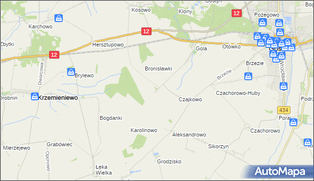 mapa Witoldowo gmina Gostyń, Witoldowo gmina Gostyń na mapie Targeo