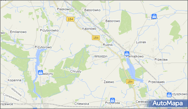 mapa Witoldzin gmina Szamotuły, Witoldzin gmina Szamotuły na mapie Targeo