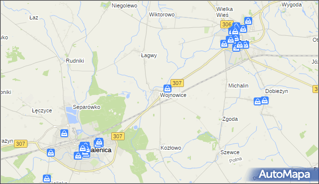 mapa Wojnowice gmina Opalenica, Wojnowice gmina Opalenica na mapie Targeo