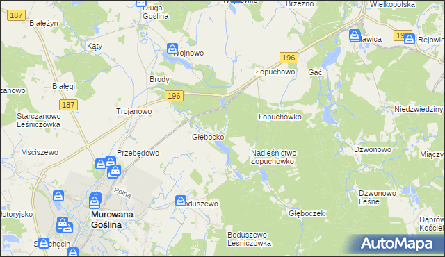 mapa Worowo gmina Murowana Goślina, Worowo gmina Murowana Goślina na mapie Targeo