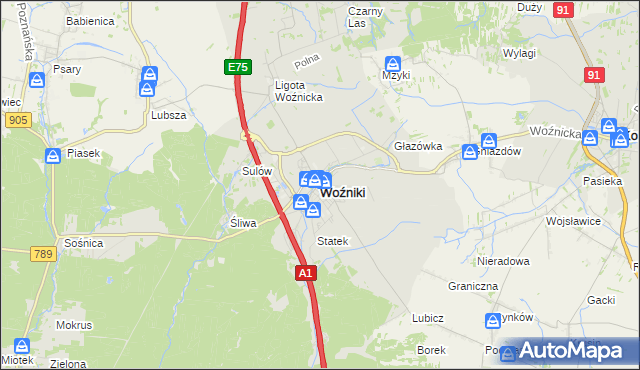 mapa Woźniki powiat lubliniecki, Woźniki powiat lubliniecki na mapie Targeo