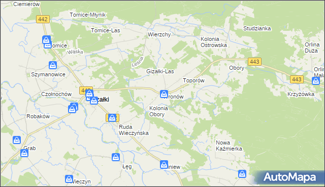 mapa Wronów gmina Gizałki, Wronów gmina Gizałki na mapie Targeo