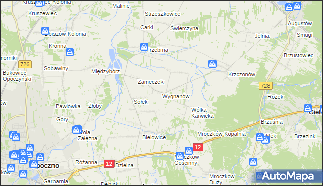 mapa Wygnanów gmina Opoczno, Wygnanów gmina Opoczno na mapie Targeo