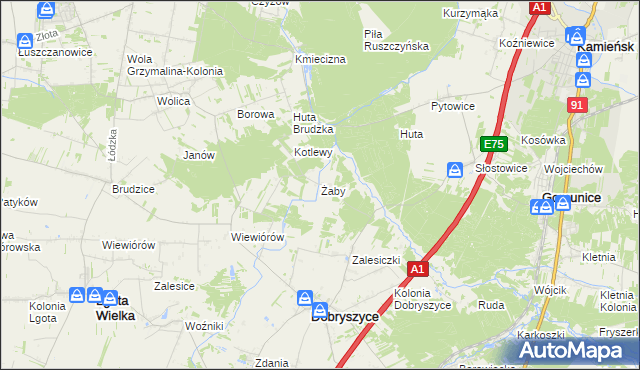 mapa Żaby gmina Dobryszyce, Żaby gmina Dobryszyce na mapie Targeo