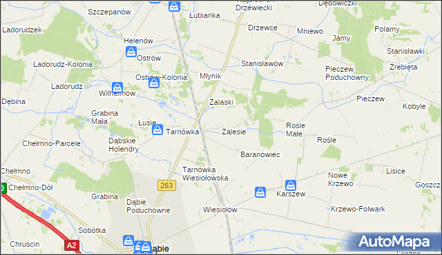 mapa Zalesie gmina Dąbie, Zalesie gmina Dąbie na mapie Targeo