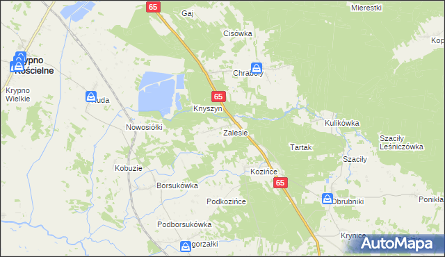 mapa Zalesie gmina Dobrzyniewo Duże, Zalesie gmina Dobrzyniewo Duże na mapie Targeo