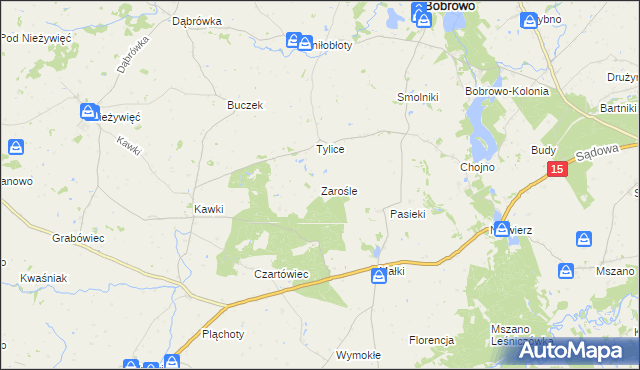 mapa Zarośle gmina Bobrowo, Zarośle gmina Bobrowo na mapie Targeo