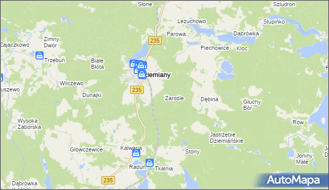 mapa Zarośle gmina Dziemiany, Zarośle gmina Dziemiany na mapie Targeo