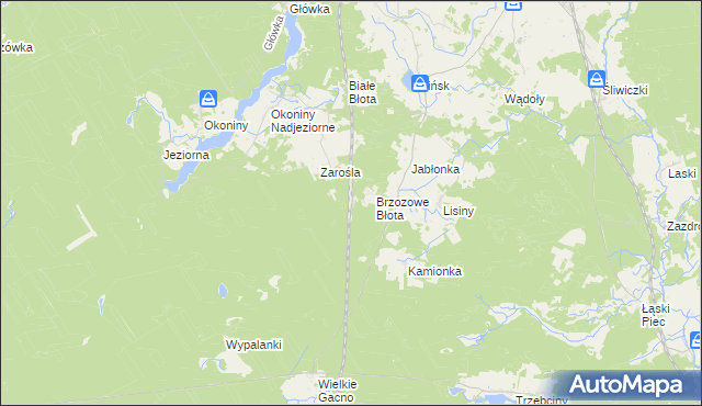 mapa Zarośle gmina Śliwice, Zarośle gmina Śliwice na mapie Targeo