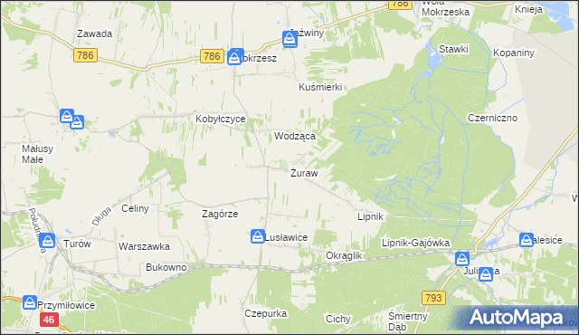 mapa Żuraw gmina Janów, Żuraw gmina Janów na mapie Targeo