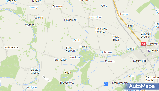 mapa Borek gmina Rudniki, Borek gmina Rudniki na mapie Targeo