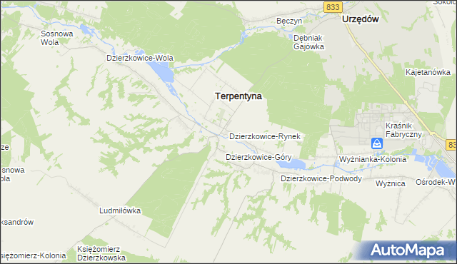 mapa Dzierzkowice-Rynek, Dzierzkowice-Rynek na mapie Targeo