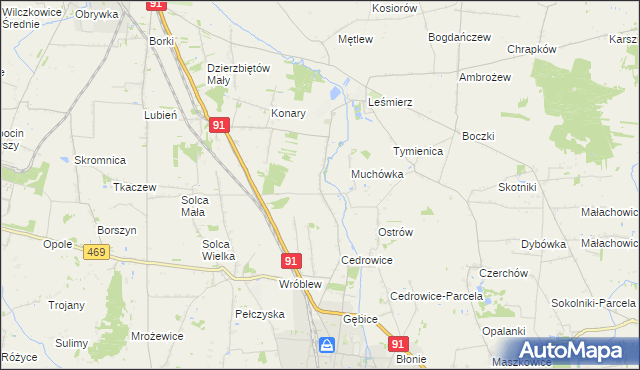 mapa Parzyce gmina Ozorków, Parzyce gmina Ozorków na mapie Targeo