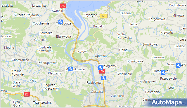 mapa Dąbrowa gmina Chełmiec, Dąbrowa gmina Chełmiec na mapie Targeo