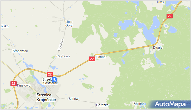 mapa Licheń, Licheń na mapie Targeo