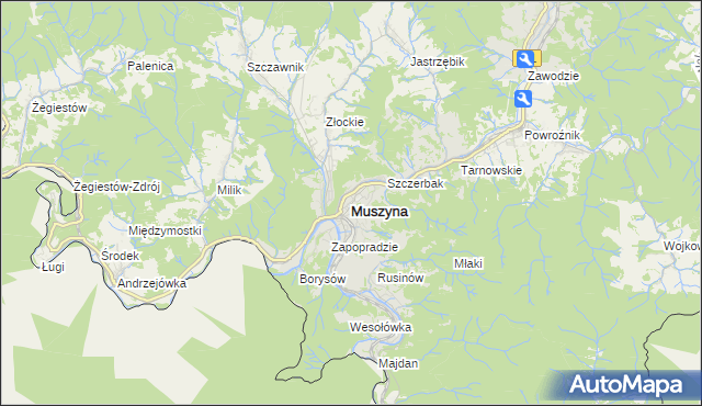 mapa Muszyna, Muszyna na mapie Targeo