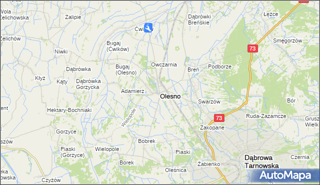 mapa Olesno powiat dąbrowski, Olesno powiat dąbrowski na mapie Targeo