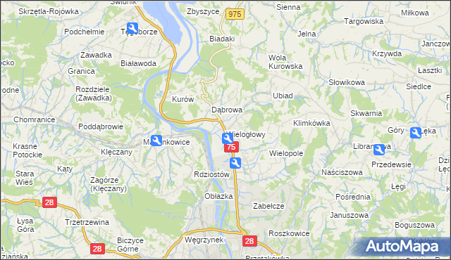 mapa Wielogłowy gmina Chełmiec, Wielogłowy gmina Chełmiec na mapie Targeo