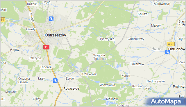 mapa Wygoda Tokarska, Wygoda Tokarska na mapie Targeo