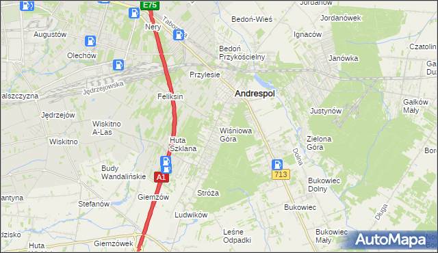 mapa Wiśniowa Góra, Wiśniowa Góra na mapie Targeo