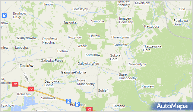 mapa Anastazew gmina Parzęczew, Anastazew gmina Parzęczew na mapie Targeo