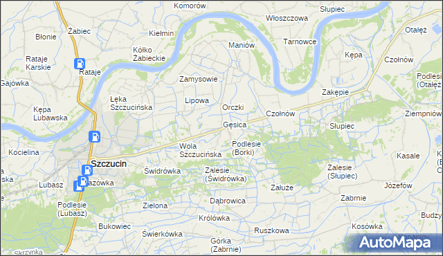 mapa Borki gmina Szczucin, Borki gmina Szczucin na mapie Targeo