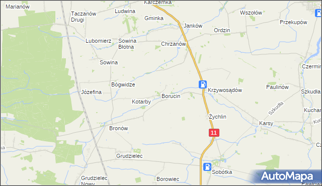 mapa Borucin gmina Pleszew, Borucin gmina Pleszew na mapie Targeo