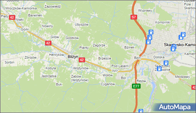 mapa Brzeście gmina Bliżyn, Brzeście gmina Bliżyn na mapie Targeo