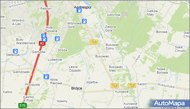 mapa Bukowiec gmina Brójce, Bukowiec gmina Brójce na mapie Targeo