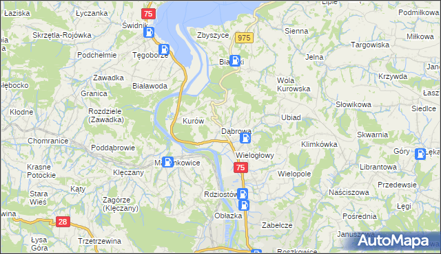 mapa Dąbrowa gmina Chełmiec, Dąbrowa gmina Chełmiec na mapie Targeo