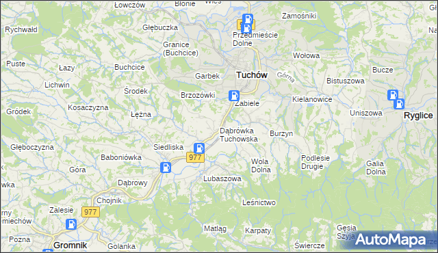 mapa Dąbrówka Tuchowska, Dąbrówka Tuchowska na mapie Targeo