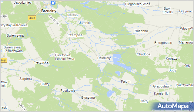 mapa Dzięcioły gmina Brzeziny, Dzięcioły gmina Brzeziny na mapie Targeo