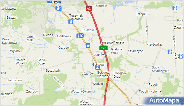 mapa Głuchów gmina Tuszyn, Głuchów gmina Tuszyn na mapie Targeo